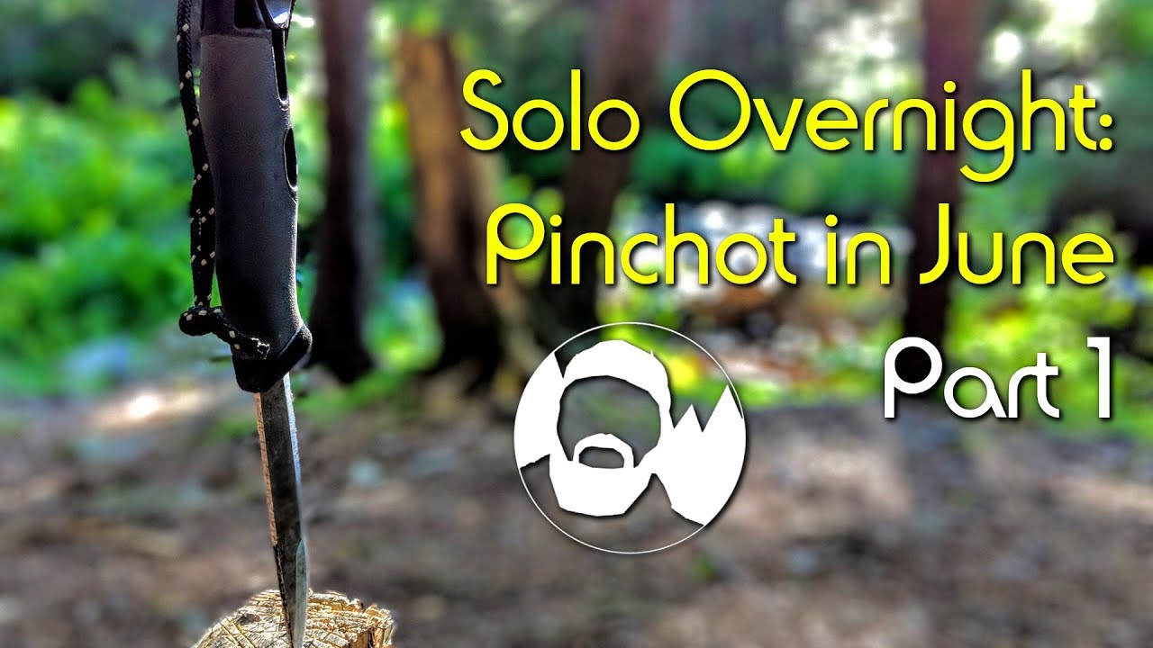 Solo Overnight: Pinchot in June Part 1 | Pinchot State Forest