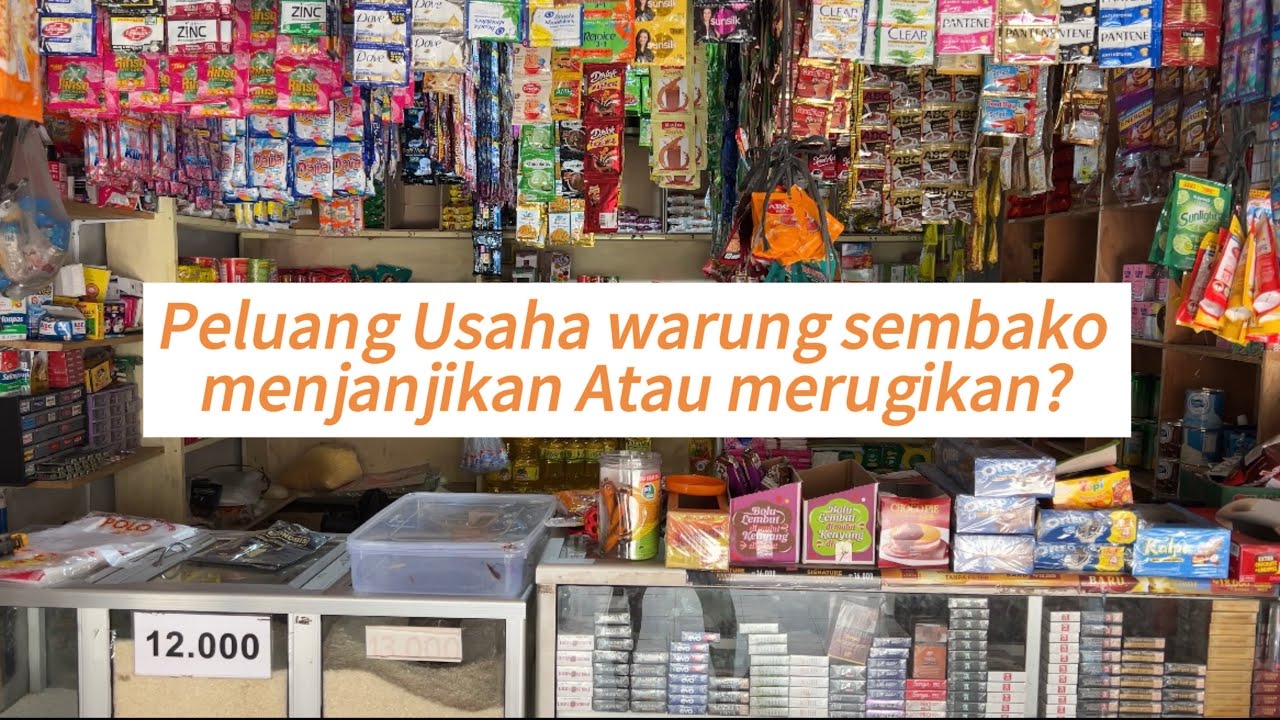 PELUANG USAHA WARUNG SEMBAKO || MENJANJIKAN ATAU MERUGIKAN??