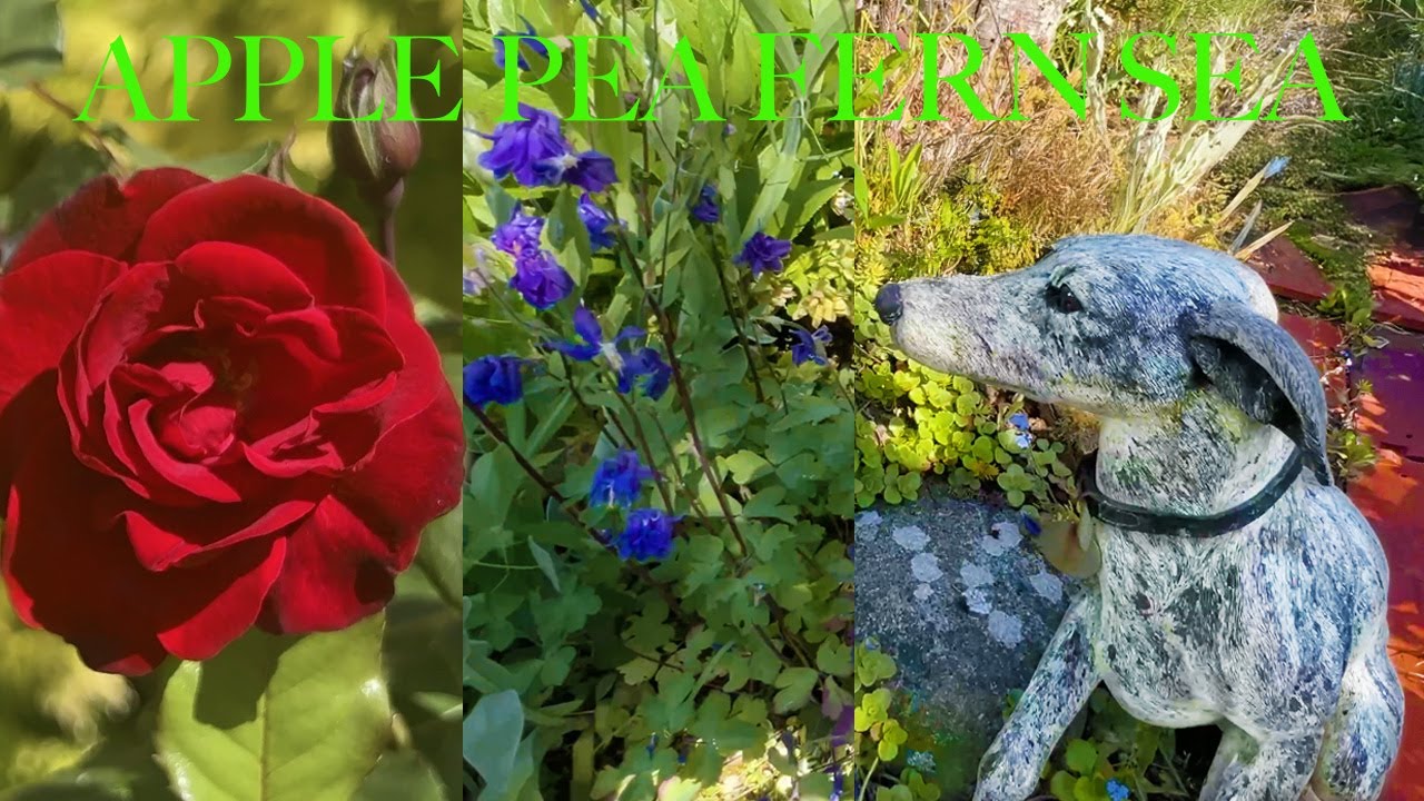 Charming English Flower Garden Tour, Wildlife Haven, New Meadow Plans & Lovely Inspiration!