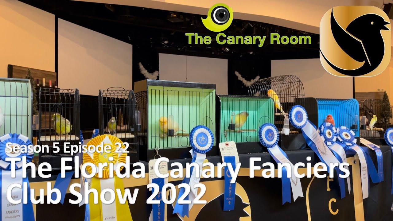 The Canary Room Season 5 Ep 22 - The Florida Canary Fanciers Club Show 2022