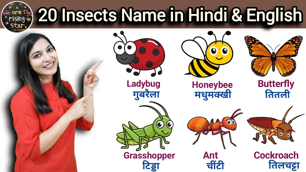 20 Insects Name in Hindi and English | कीड़े मकोड़ों के नाम | WATRstar #insectsname