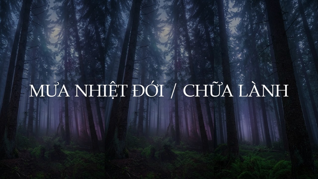 Nhạc Chữa Lành Tiếng Mưa Đêm Nhiệt Đới | 432Hz Giúp Ngủ Ngon Ngay Lập Tức & Sâu Giấc (Sóng Delta)