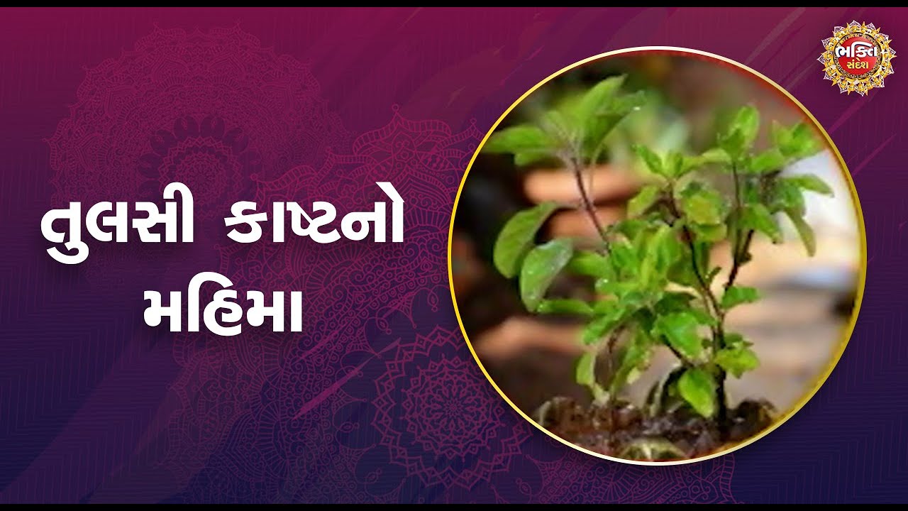 તુલસી કાષ્ટનો મહિમા | Bhakti Sandesh