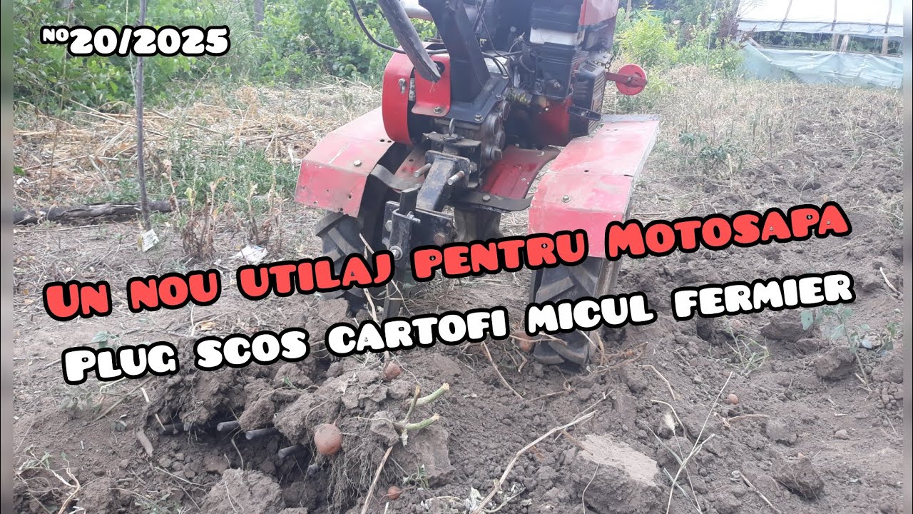 Am Recoltat Cartofii🥔🥔🥔! Ce Producție Am Avut Pe Timp De Seceta🤦