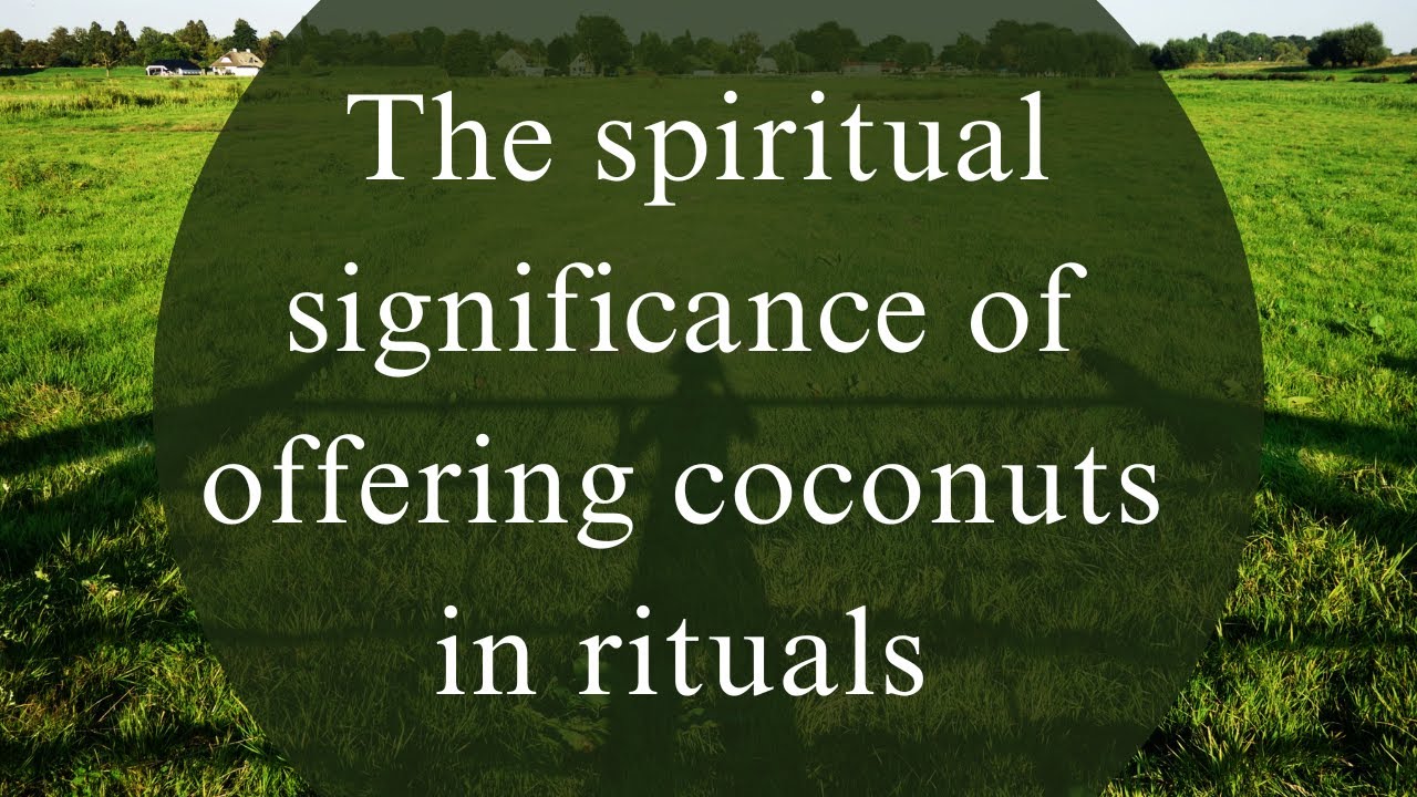The spiritual significance of offering coconuts in rituals #spirtuality #coconut  #science #facts