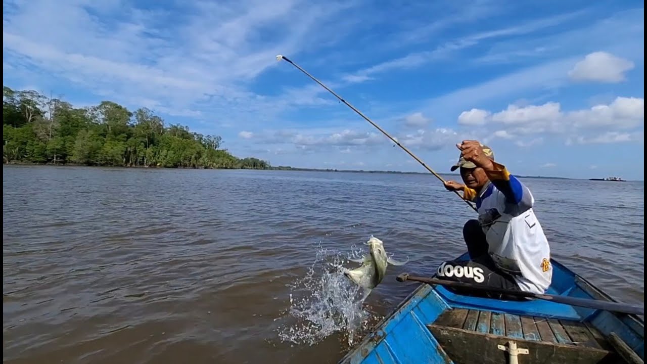 Awalnya seperti nyangkut,ternyata disambar ikan Kerapu besar