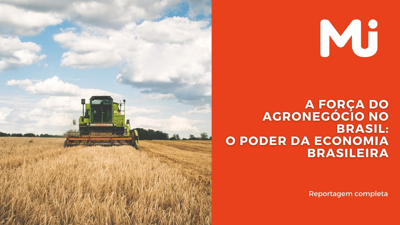 A força do agronegócio no Brasil: O poder da economia brasileira