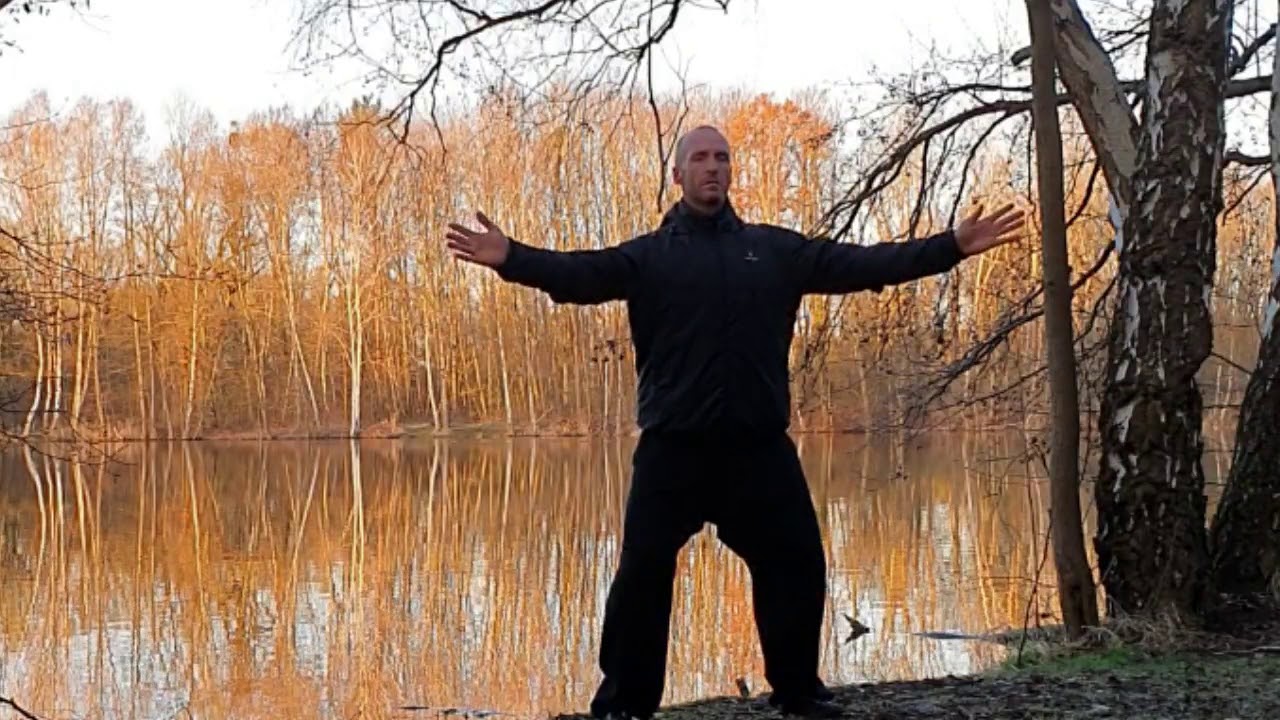 Taiji Qi Gong Online Training