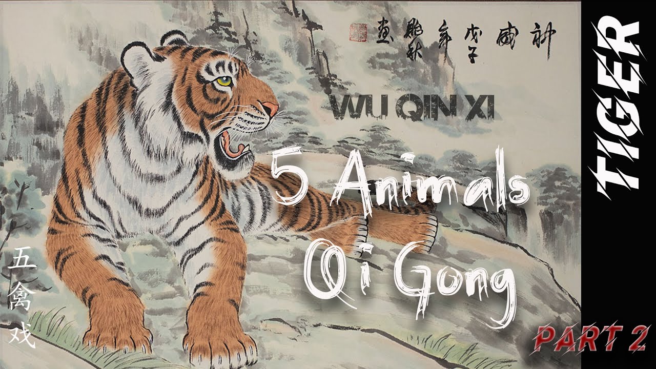 Qigong 5 animals wu qin xi Цигун 5 зверей форма Тигра