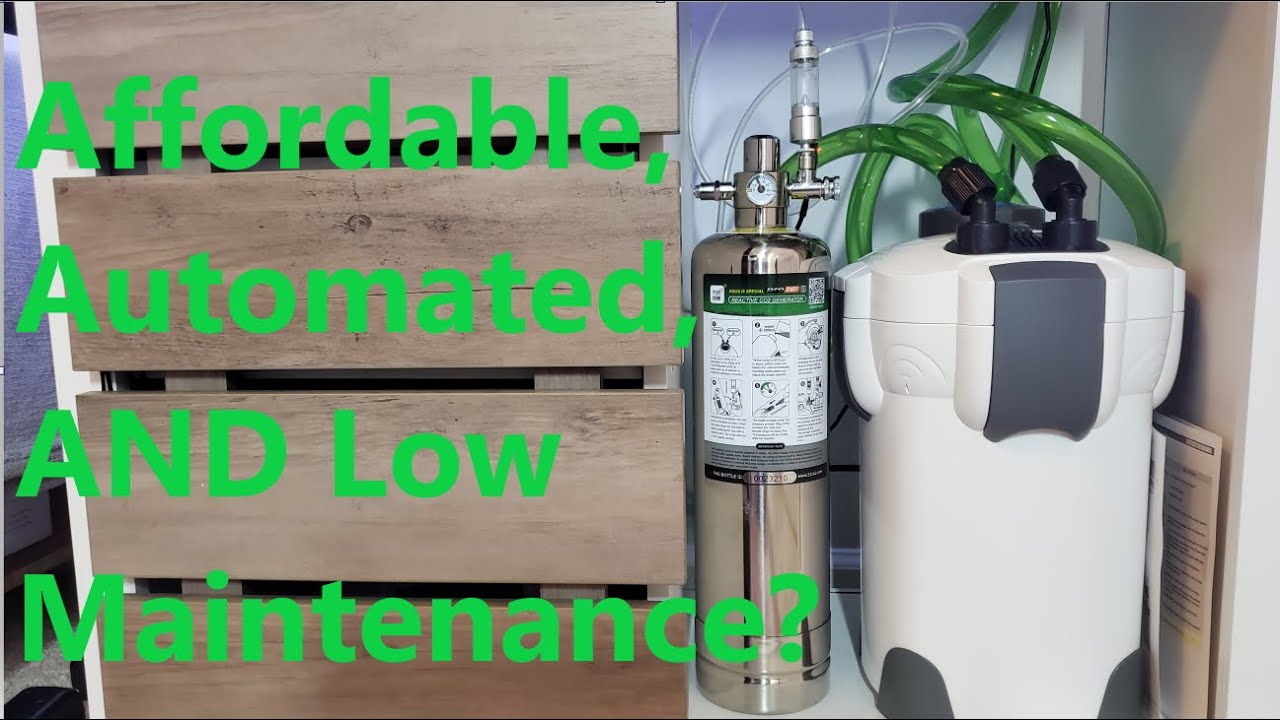 The Best CO2 Kit for Freshwater Aquariums You Didn't Know About - WuyouChy, ZRDR, FZONE