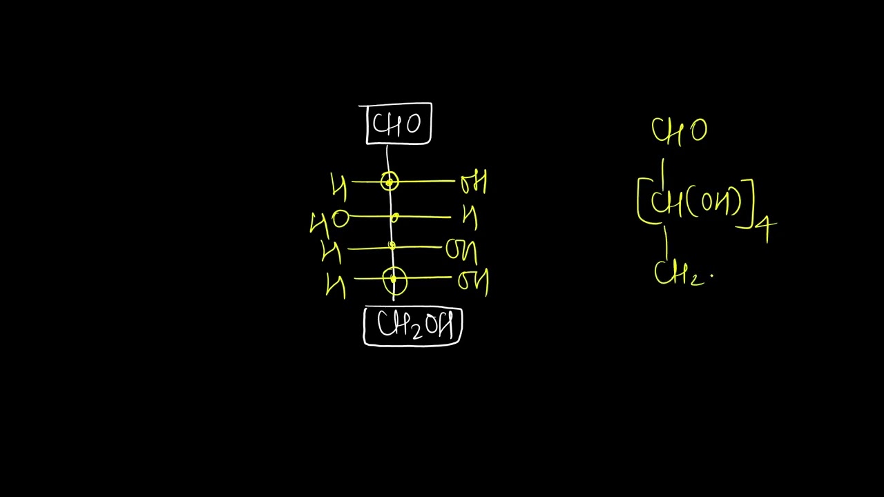 Biomolecules- one shot