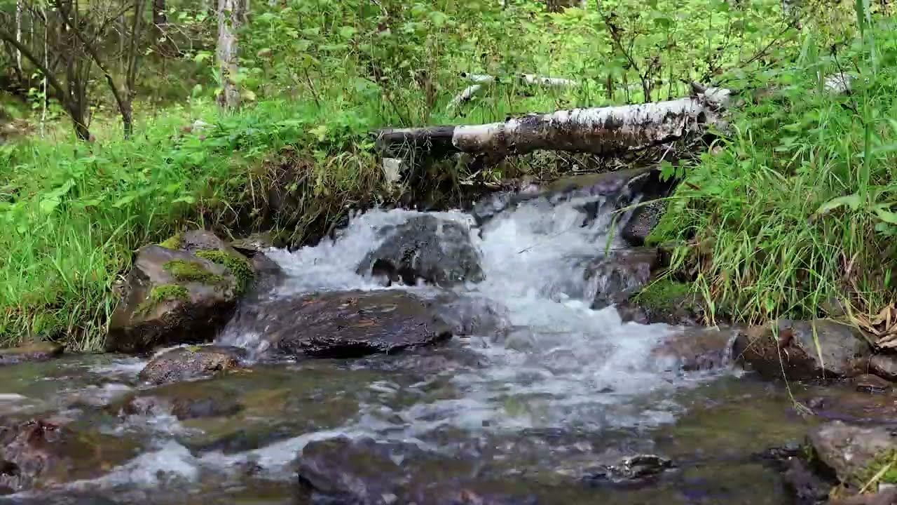 Республика Алтай. Река Верхняя Еланда