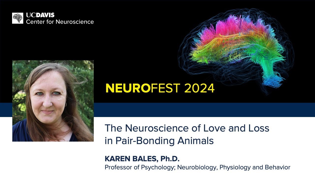 Karen Bales, Ph.D. — The Neuroscience of Love and Loss in Pair-Bonding Animals