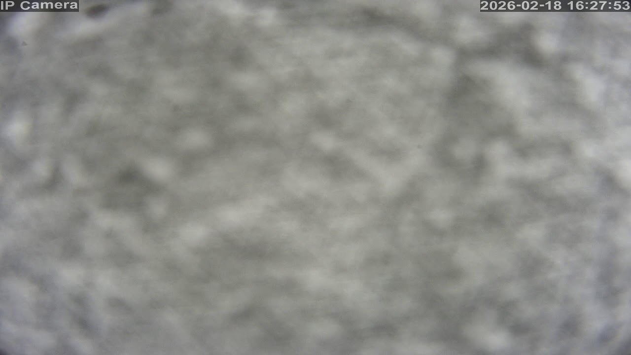 Camera 白馬岩岳マウンテンリゾート - 2026-02-17 16:40