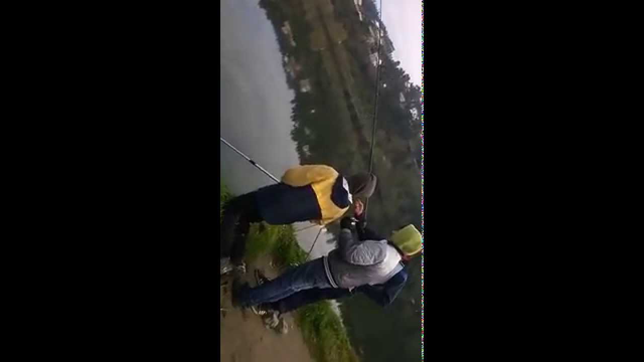 Pesca ao barbo