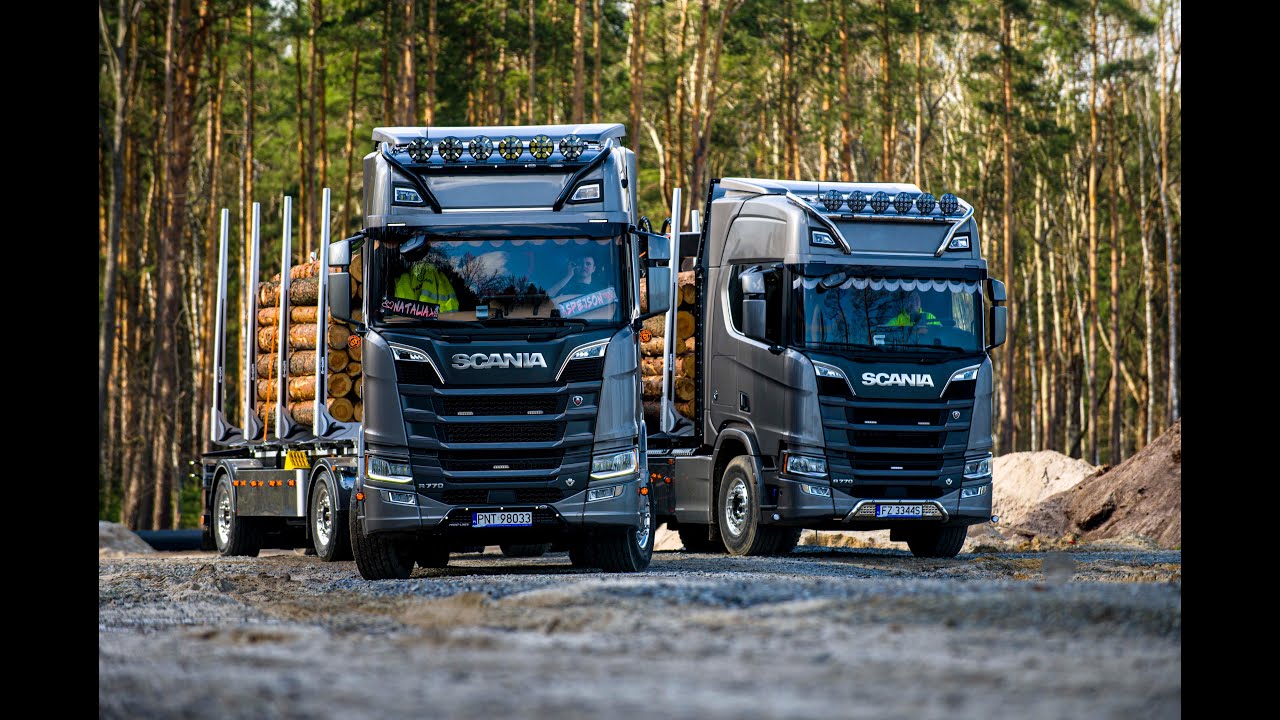 Transport drewna z Falko Trans