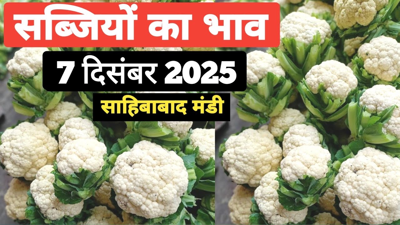 7 December 2025 सब्जियों का थोक भाव साहिबाबाद मंडी | today vegitables rates #mandirates #sabji 