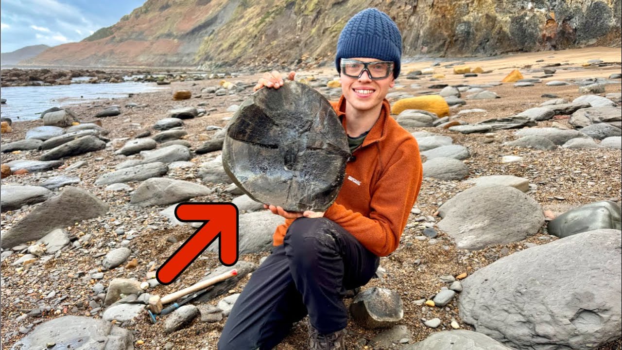 We Found a SUPER RARE Cuttlefish Fossil Washed Out by the Storm!