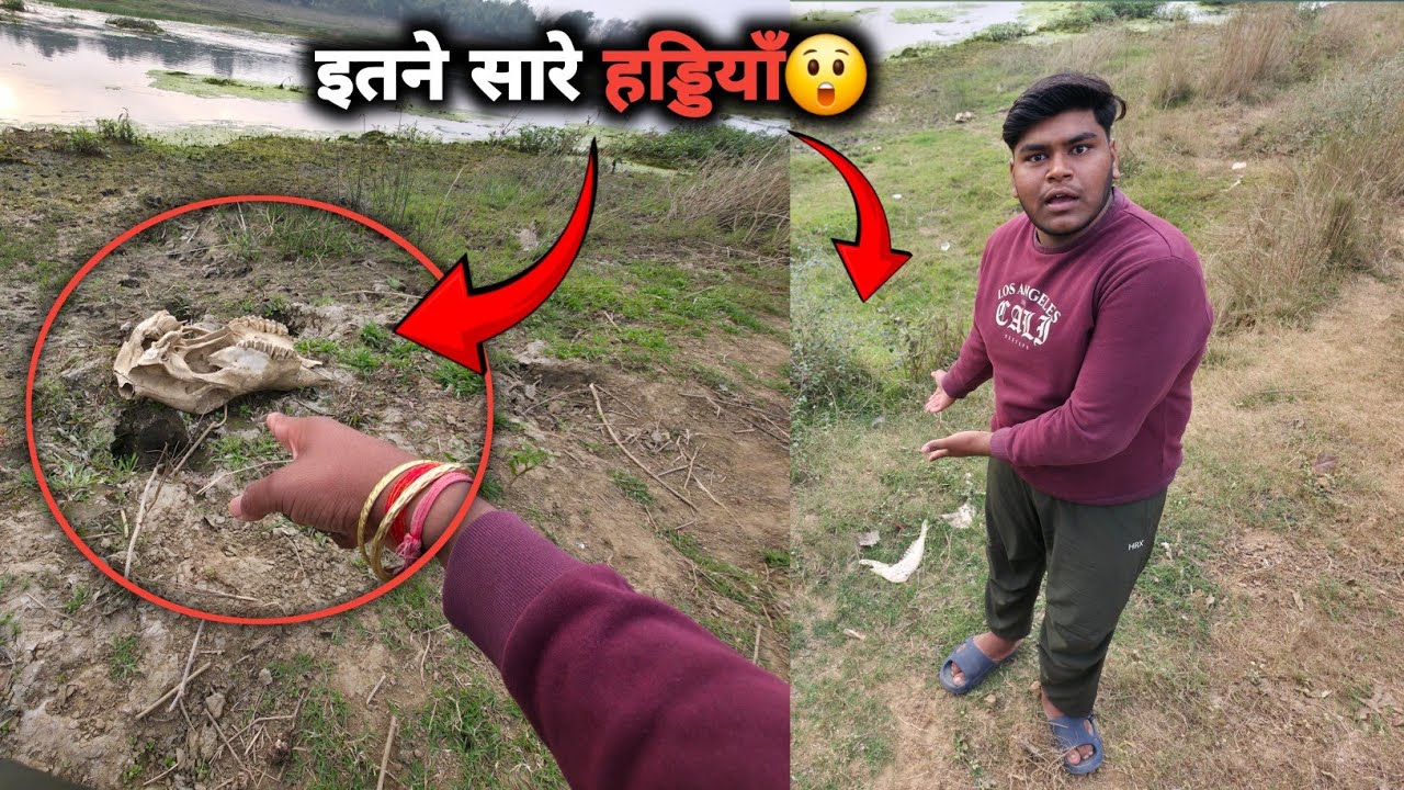 JUNGLE ME MILE ITNE SARE हड्डियाँ😮 || अब तो गई काम से😵