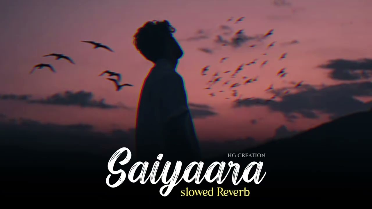 Saiyaara Song ( Slowed + Reverb) | Ek Tha Tiger | Hg Creation 