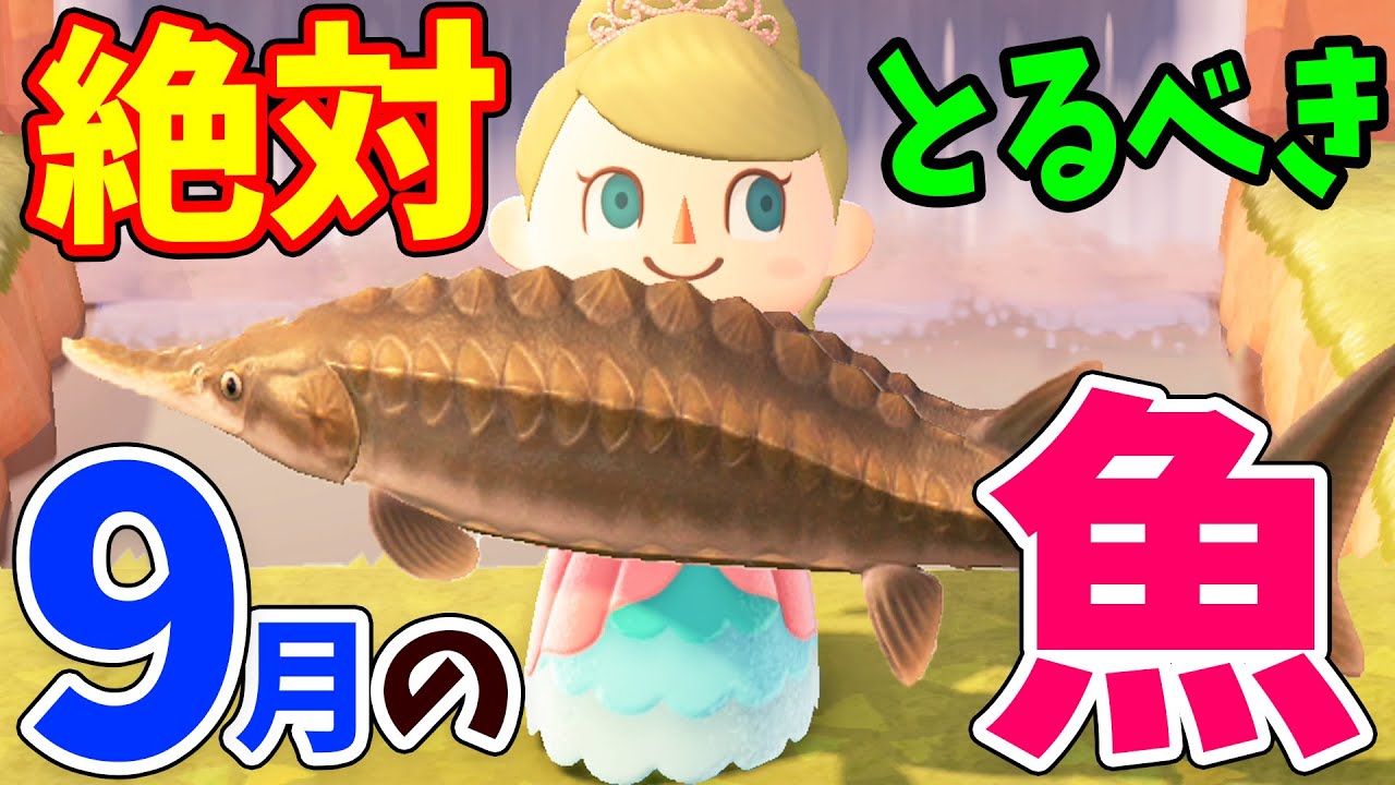 【あつ森】9月の魚を全て紹介！秋限定のレアな魚の値段や釣り方をコンプしながら徹底解説！キングサーモンやゴールデントラウトの模型をGETしよう【あつまれどうぶつの森 攻略】