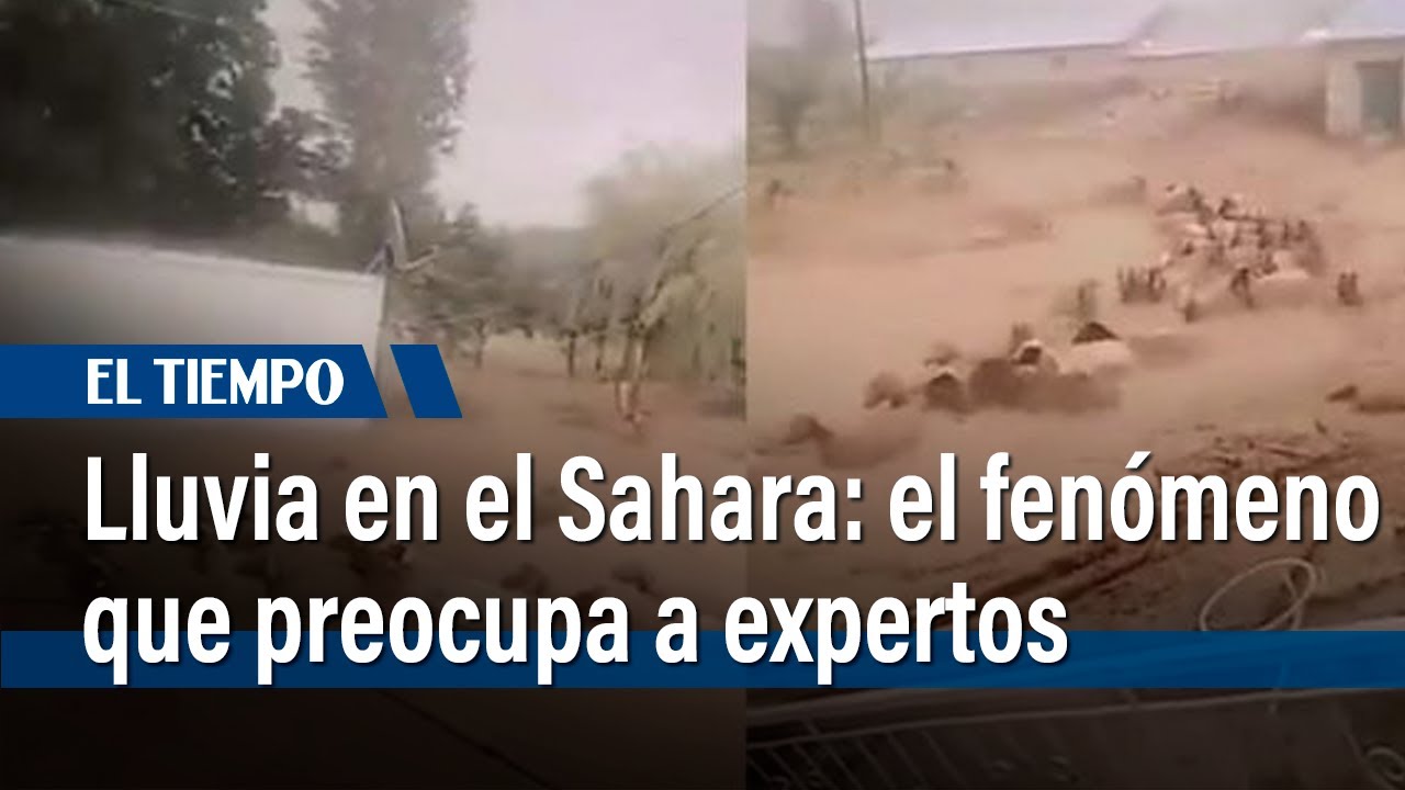 Llovió en el desierto del Sahara: así fue el extraño fenómeno que preocupa a expertos | El Tiempo