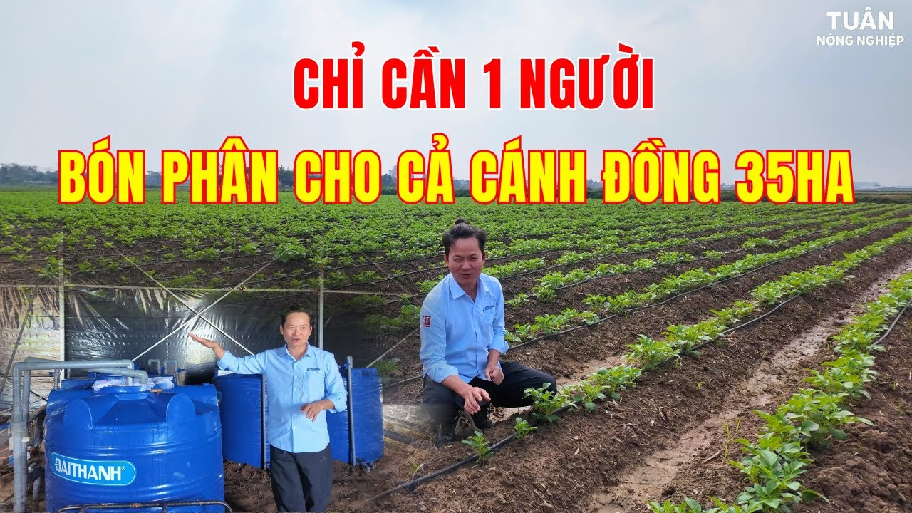 Chỉ cần 1 Người Để Bón Phân Cho 35ha , Chuyện Thật Như Đùa - 120 Ngày Trồng Khoai.