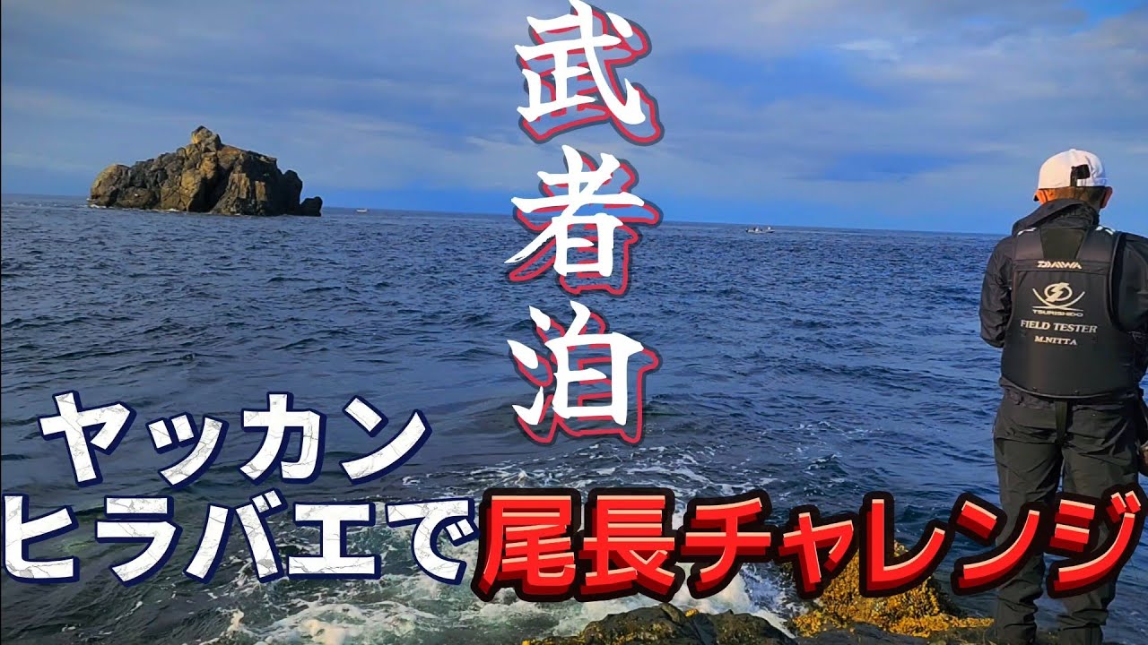 10/6【愛南町武者泊】２ヶ月ぶりの磯釣りで、巨大尾長に会えたのでしょうか❔‼️水中映像あり