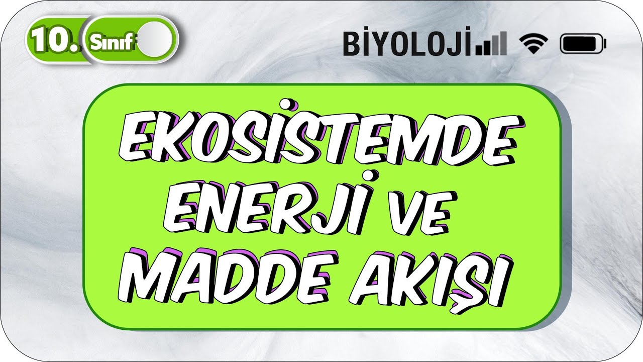 Ekosistemde Enerji ve Madde Akışı | 10.Sınıf Biyoloji #2023