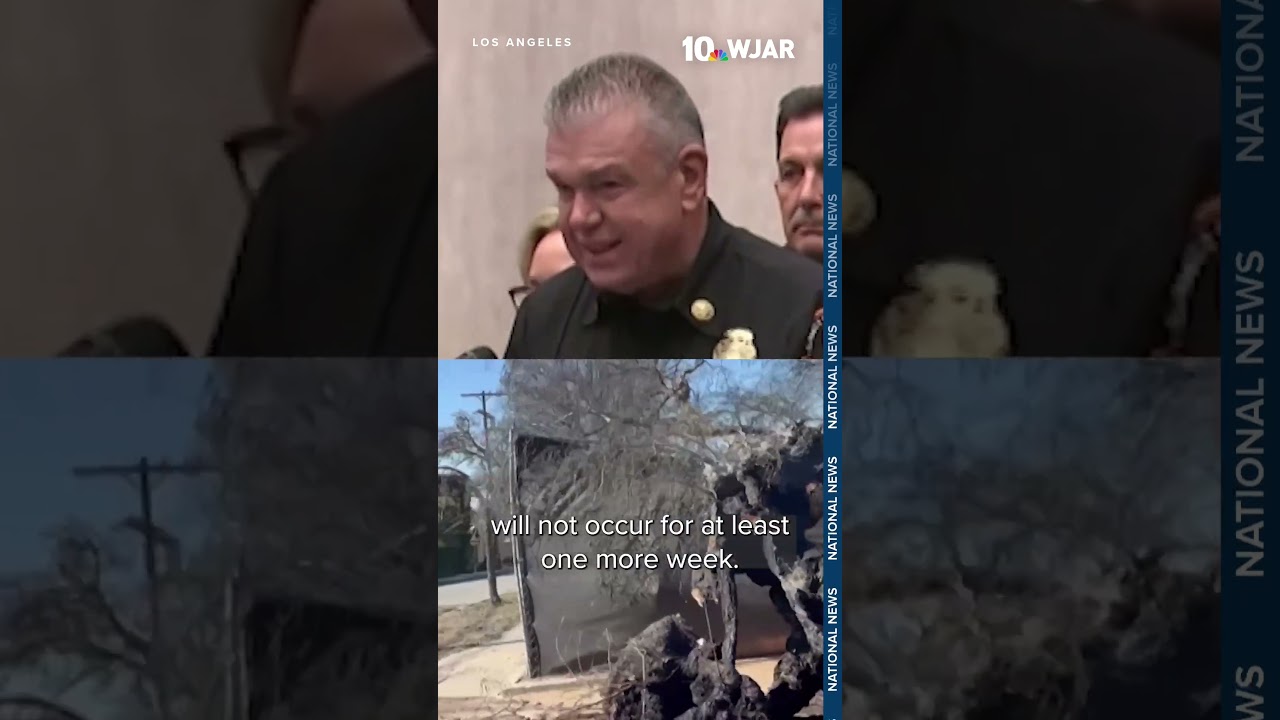 Firefighters make progress in LA wildfire containment