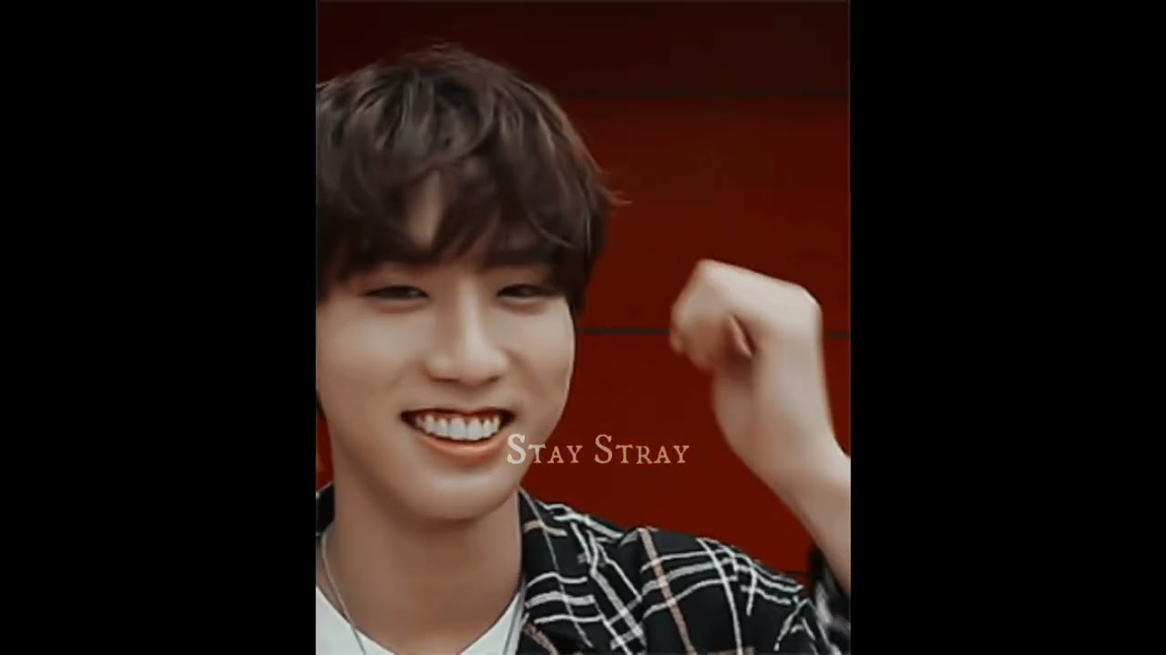 ▪︎Han Jisung▪︎| ☆Safari☆ °FMV°