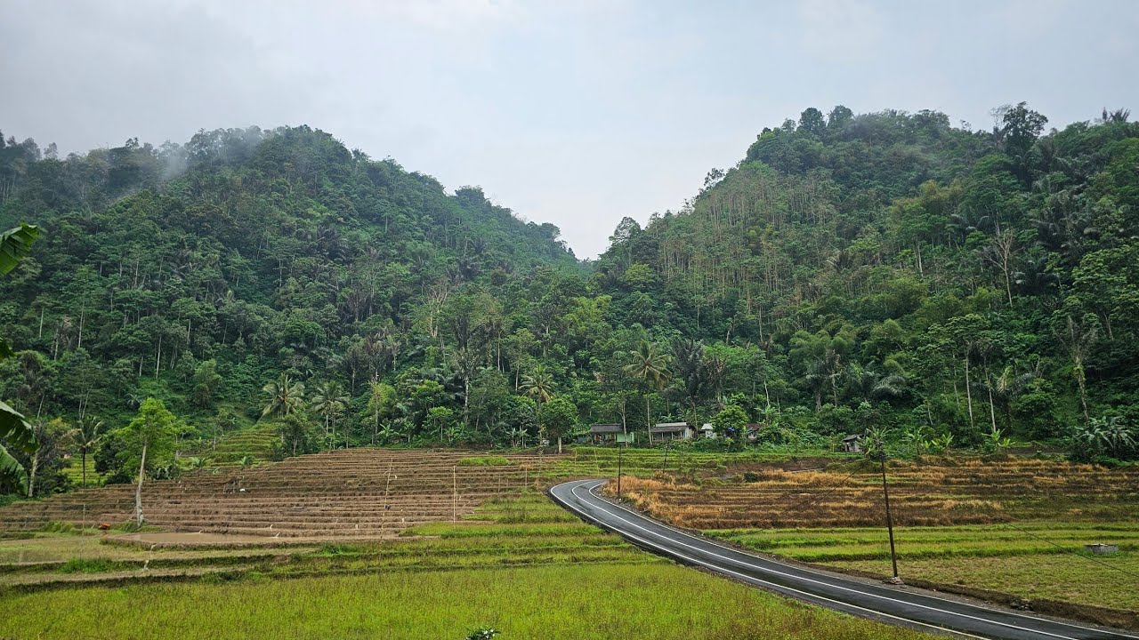 Sehari di Bungbulang Garut: Silaturahmi, Alam Asri, dan Nyore Indah di Antara Sawah & Kabut