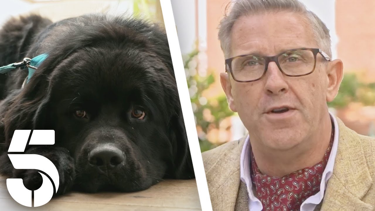 A Therapy Dog That Needs Therapy | Dogs Behaving (Very) Badly | Channel 5