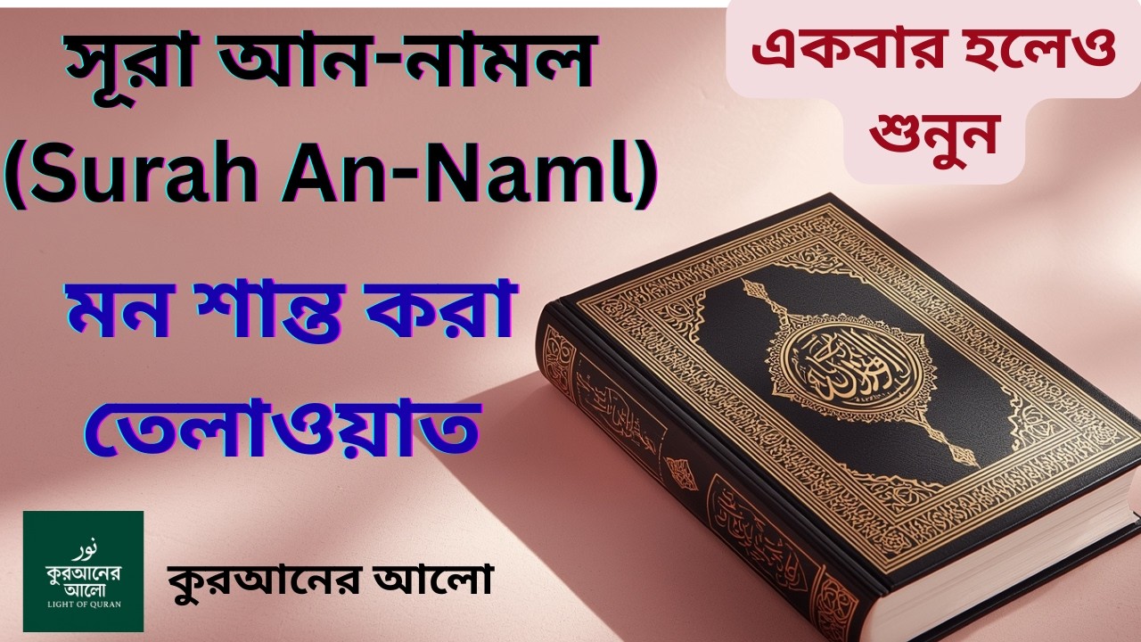 হৃদয় জুড়ানো সূরা আন-নামল তেলাওয়াত | Surah An-Naml Full | Beautiful Quran Recitation#surahannaml