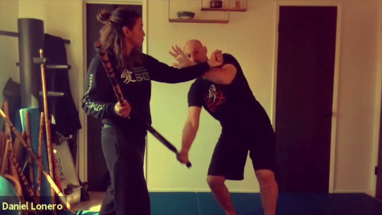 St.Louis Combative Martial Arts Virtual Seminar