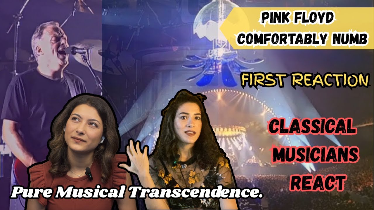 First Time Hearing Pink Floyd – Comfortably Numb || Musicians React