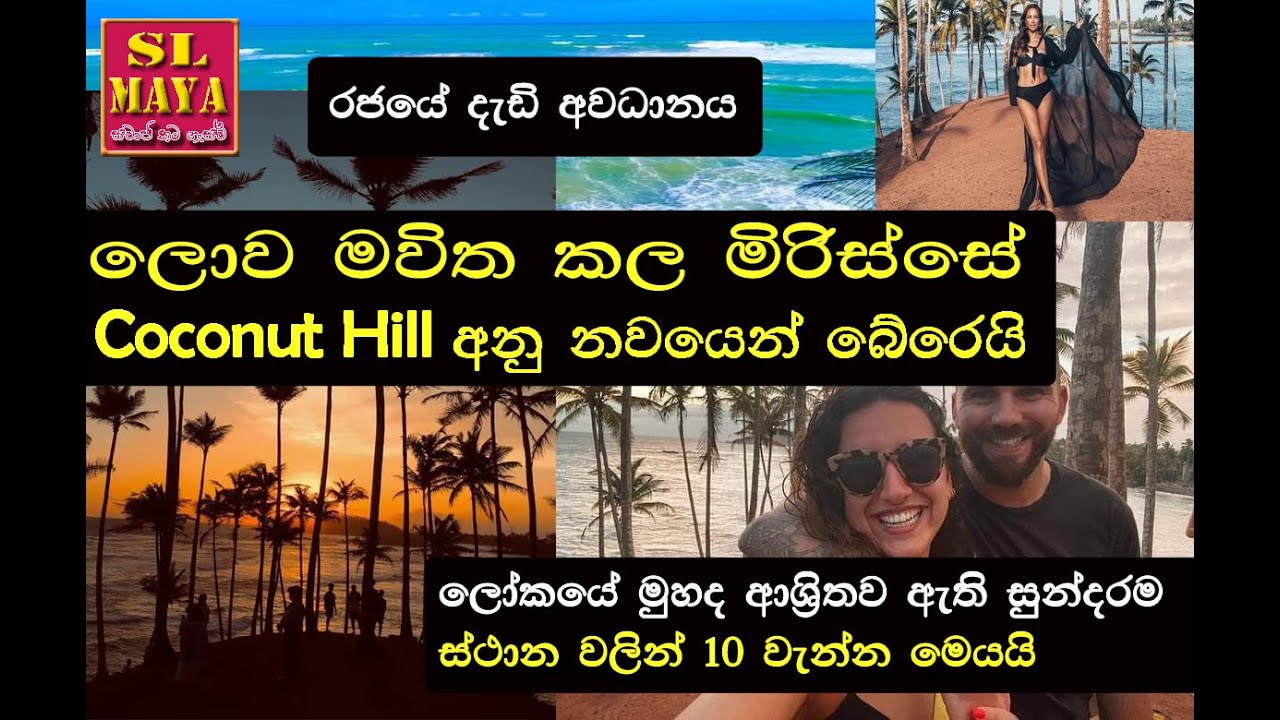 The Coconut hill in Mirissa saves at last