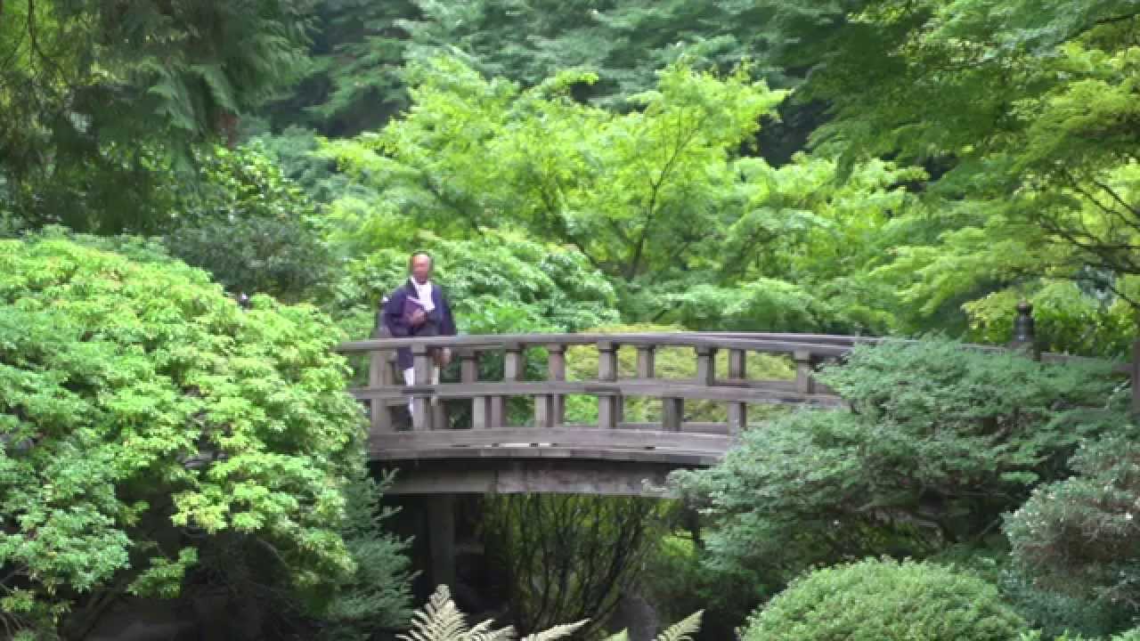 Saffron  Fields Japanese Garden Part 1