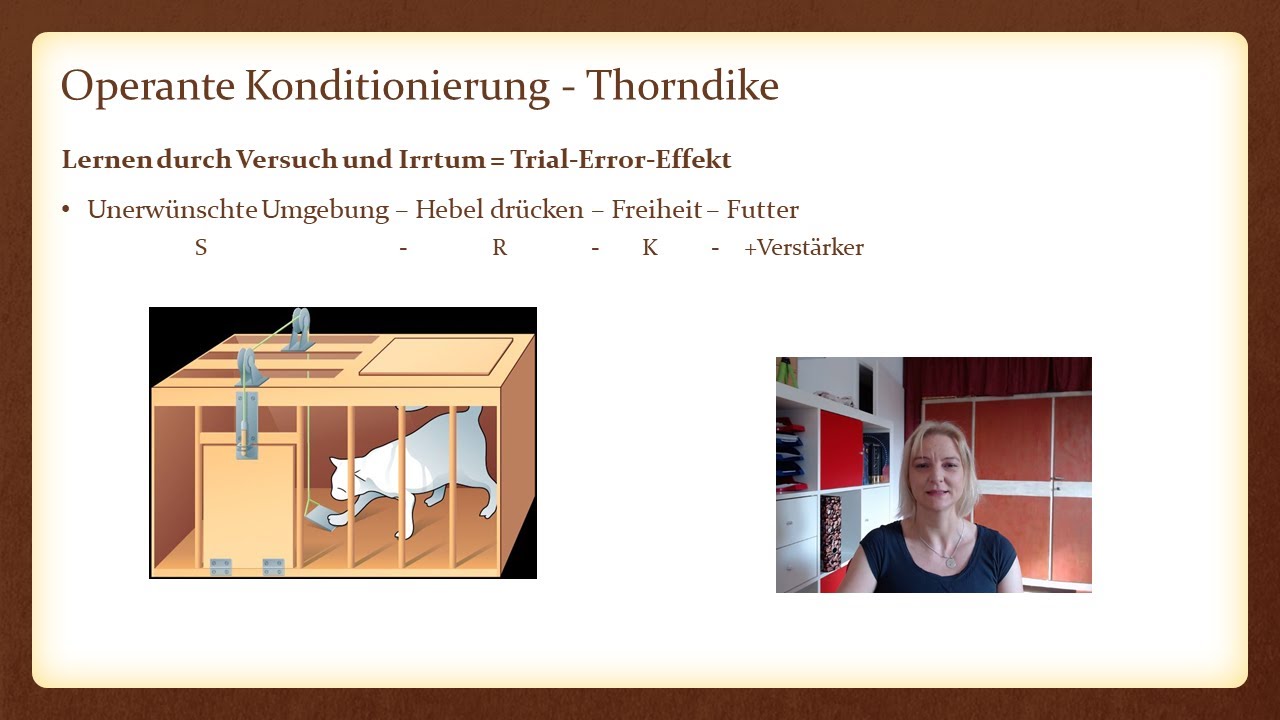 Lernpsychologie – Operante Konditionierung 1 – Psychologie Fernstudium IUBH