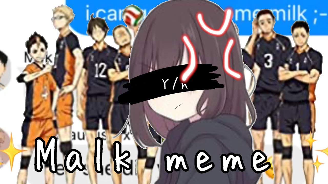 ✨Malk meme✨ y/n chat 💬( y/n harem )