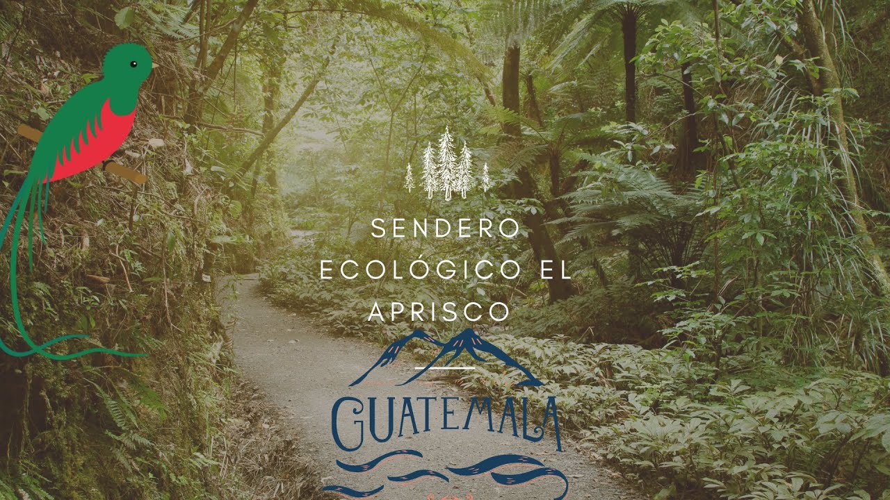 Un lugar imperdible en Totonicapán 🤩 senderismo 🇬🇹🍃🌲