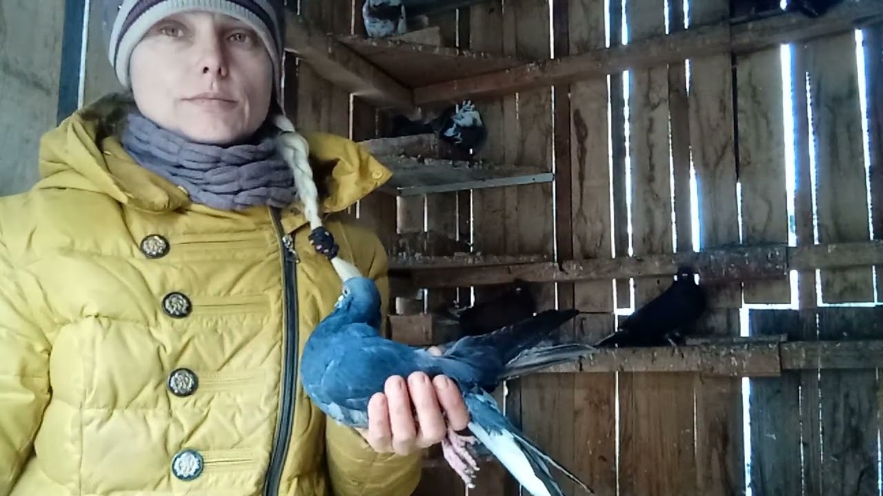 Серпастые Очаковские про спецыи в кормлении ! 