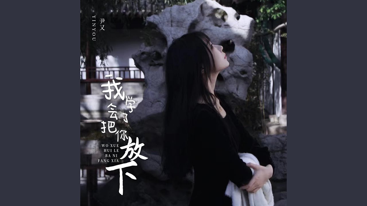 我学会了把你放下 (从此不再为谁牵挂)
