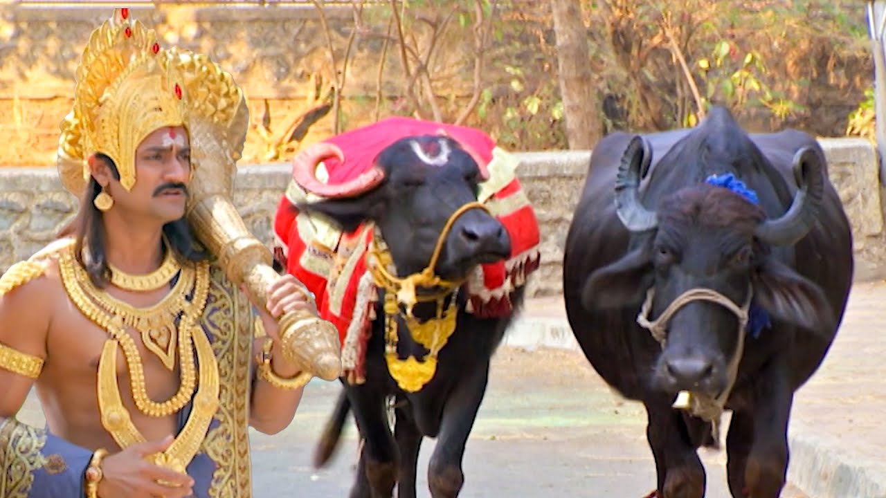यमराज का बैल हो गया पृथ्वी लोक की भैंस पर लट्टू | यम है हम | Yam Hain Ham | Episode 55