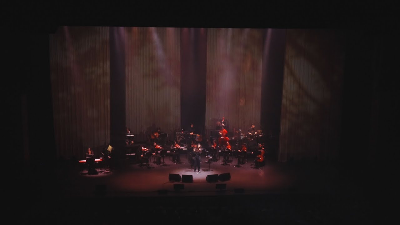 박지윤 - 오후  [2024 LIVE]