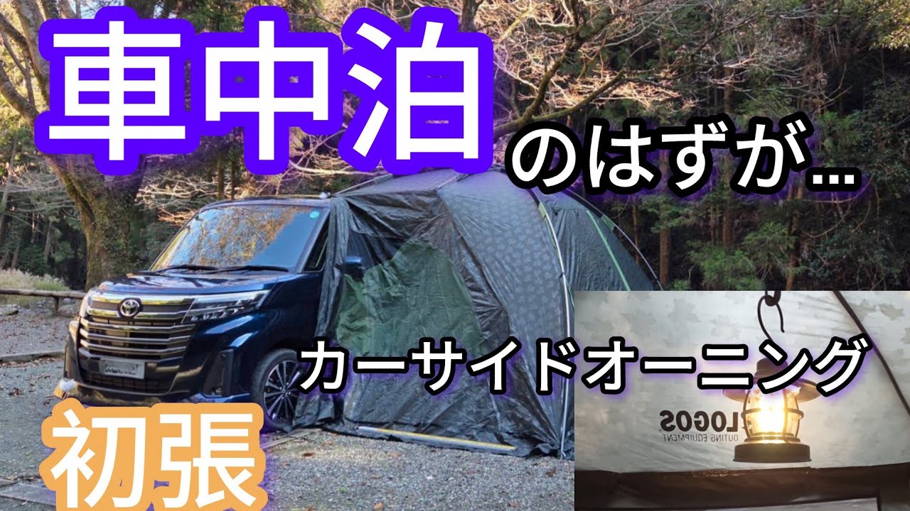 【車中泊】自然いっぱいのキャンプ場にて✨楽しいキャンプのはずが……