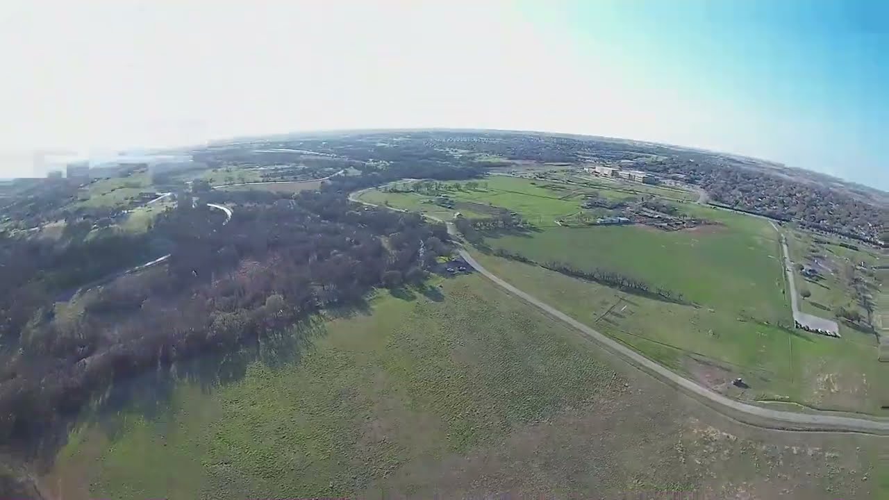 First Tail Attempt But Instead Bird?!