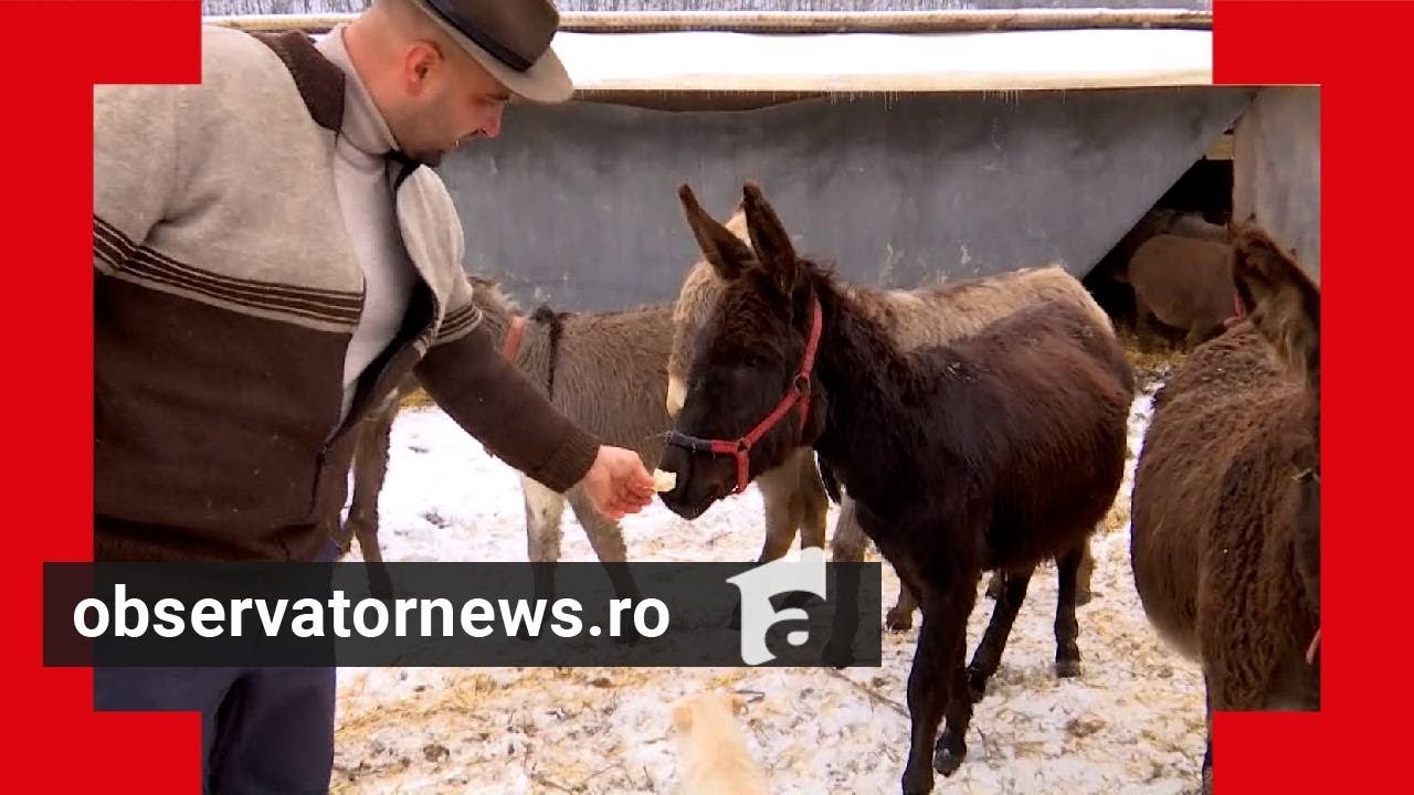 Afacerea pornită de o familie din Gorj pe locul unei foste grop ide gunoi. Un litru costă 100 de lei