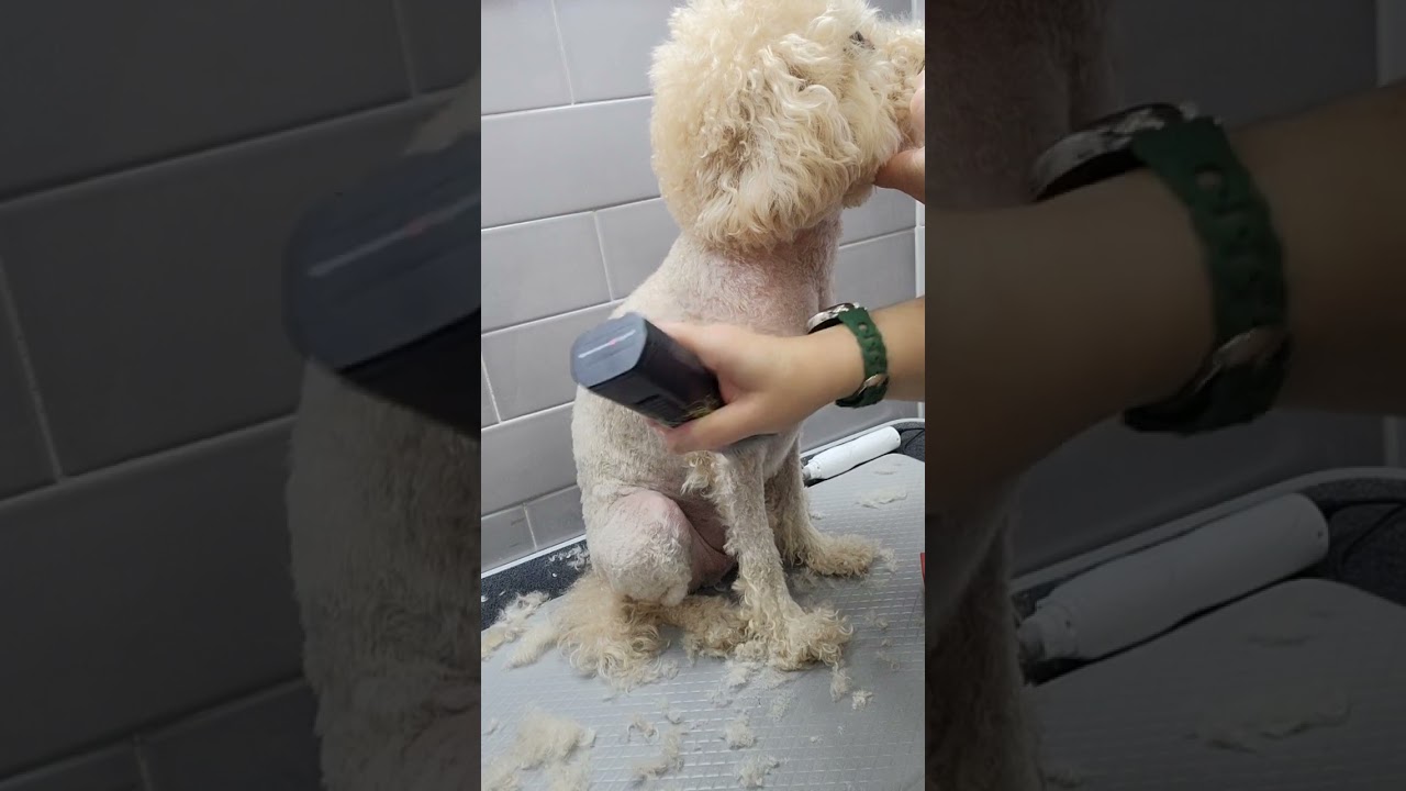 학원에서가르쳐 주지 않는것..제가 알려드릴께요