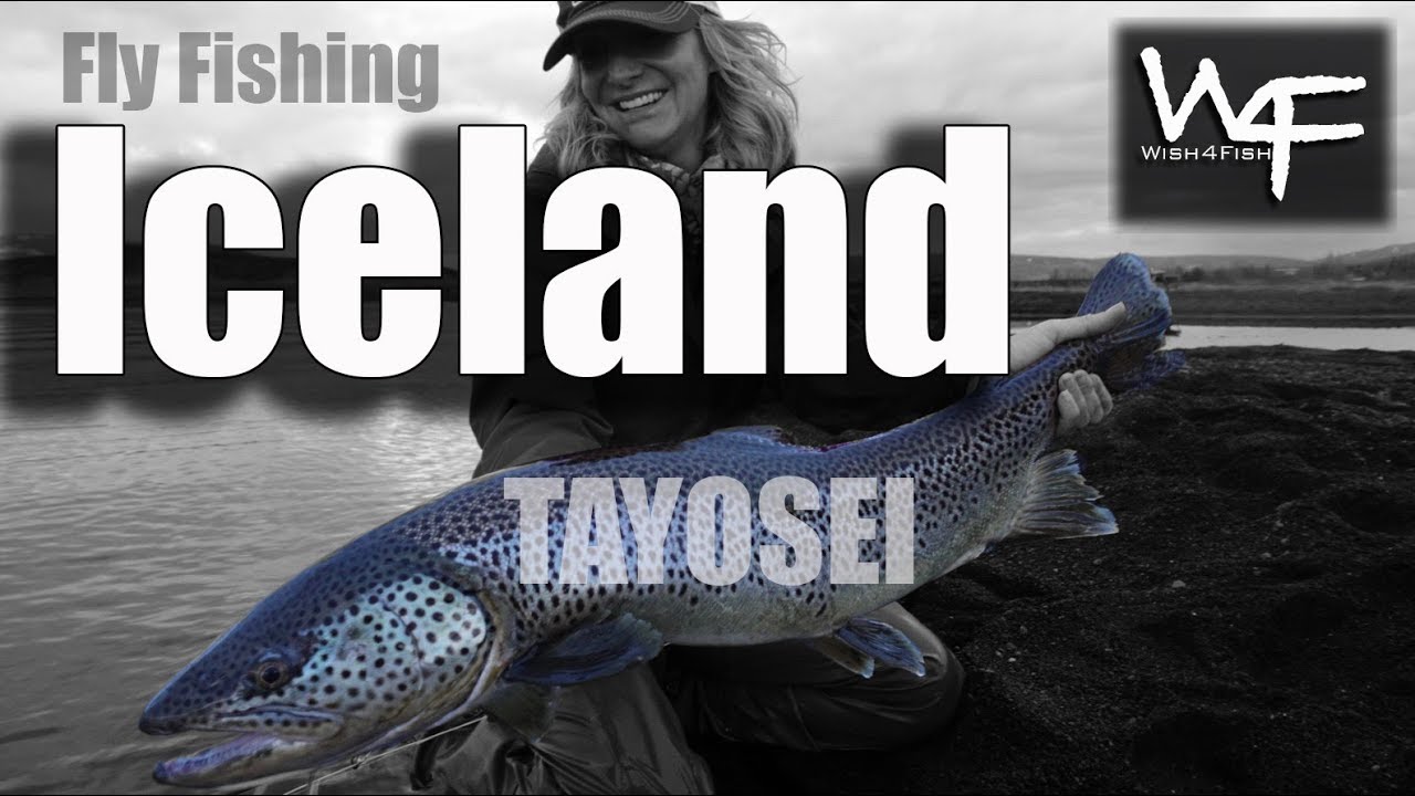 W4F - Fly Fishing Iceland 